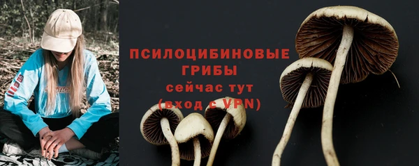 скорость Осташков