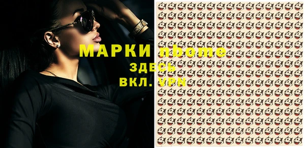сатива Пересвет