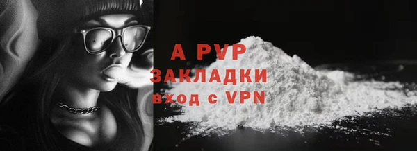 сатива Пересвет