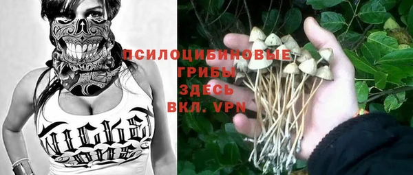 Альфа ПВП Пестово