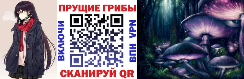 Галлюциногенные грибы мицелий  блэк спрут онион  Тайга  где купить наркоту 